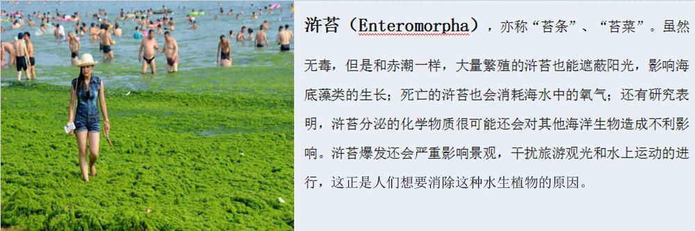 挖泥船解決江河湖海水草泛濫方案2